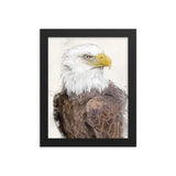 Majestic Freedom Bald Eagle Framed Print