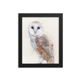 Wings of Wisdom Barn Owl Framed Print