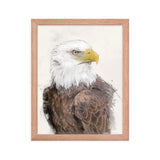 Majestic Freedom Bald Eagle Framed Print