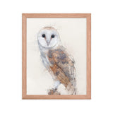 Wings of Wisdom Barn Owl Framed Print