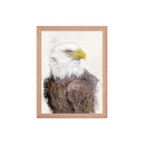 Majestic Freedom Bald Eagle Framed Print