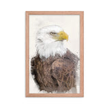 Majestic Freedom Bald Eagle Framed Print