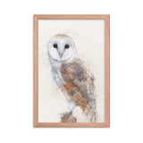 Wings of Wisdom Barn Owl Framed Print