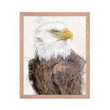 Majestic Freedom Bald Eagle Framed Print