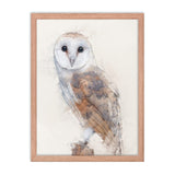 Wings of Wisdom Barn Owl Framed Print