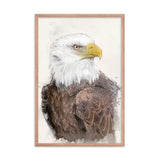 Majestic Freedom Bald Eagle Framed Print