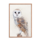 Wings of Wisdom Barn Owl Framed Print