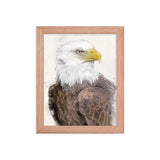 Majestic Freedom Bald Eagle Framed Print