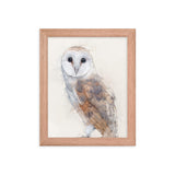 Wings of Wisdom Barn Owl Framed Print