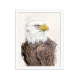 Majestic Freedom Bald Eagle Framed Print