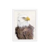 Majestic Freedom Bald Eagle Framed Print