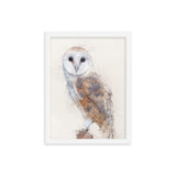 Wings of Wisdom Barn Owl Framed Print