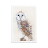 Wings of Wisdom Barn Owl Framed Print