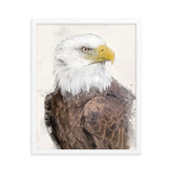 Majestic Freedom Bald Eagle Framed Print