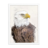 Majestic Freedom Bald Eagle Framed Print