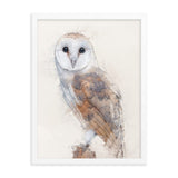 Wings of Wisdom Barn Owl Framed Print