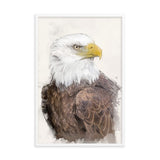 Majestic Freedom Bald Eagle Framed Print