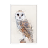 Wings of Wisdom Barn Owl Framed Print