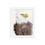 Majestic Freedom Bald Eagle Framed Print