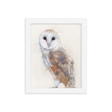 Wings of Wisdom Barn Owl Framed Print