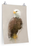 Bald Eagle Paper Print