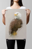 Bald Eagle Paper Print