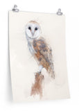 Barn Owl Paper Print