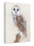 Barn Owl Canvas