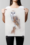 Barn Owl Paper Print