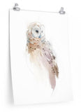 Barred Owl Paper Print