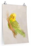 Budgie Paper Print