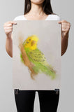 Budgie Paper Print