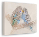 Budgie Canvas No.6