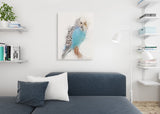 Budgie Canvas No.2