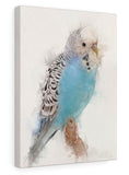 Budgie Canvas No.2