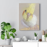 Cockatiel Canvas No.6