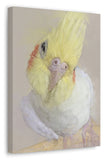 Cockatiel Canvas No.6