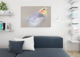 Cockatiel Canvas No.7