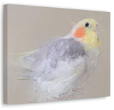 Cockatiel Canvas No.7