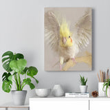 Cockatiel Canvas No.8