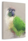 Green Cheeked Conure Canvas No.6