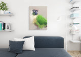 Green Cheeked Conure Canvas No.6