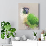 Green Cheeked Conure Canvas No.6