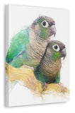 Green Cheeked Conure Canvas No.9