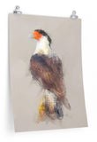 Crested Caracara Paper Print