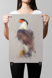 Crested Caracara Paper Print