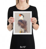 Crested Caracara Framed Print