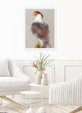 Crested Caracara Framed Print