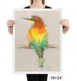 European Bee Eater Framed Print