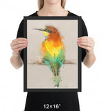 European Bee Eater Framed Print